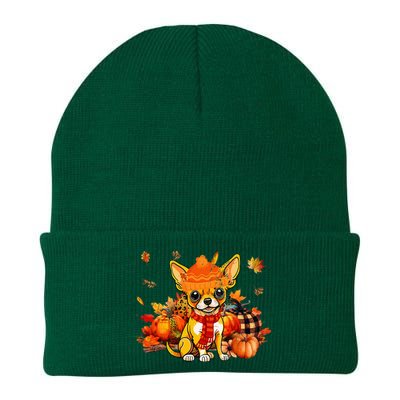 Chihuahua Dog Fall Scarf Leopard Pumpkins Autumn Leaves Knit Cap Winter Beanie