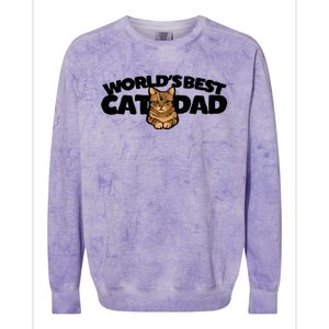 Cat Dad Funny Cat Person Humor Gift Colorblast Crewneck Sweatshirt