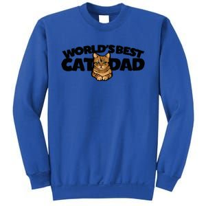 Cat Dad Funny Cat Person Humor Gift Sweatshirt