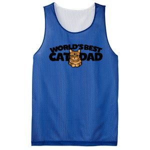 Cat Dad Funny Cat Person Humor Gift Mesh Reversible Basketball Jersey Tank