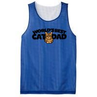 Cat Dad Funny Cat Person Humor Gift Mesh Reversible Basketball Jersey Tank