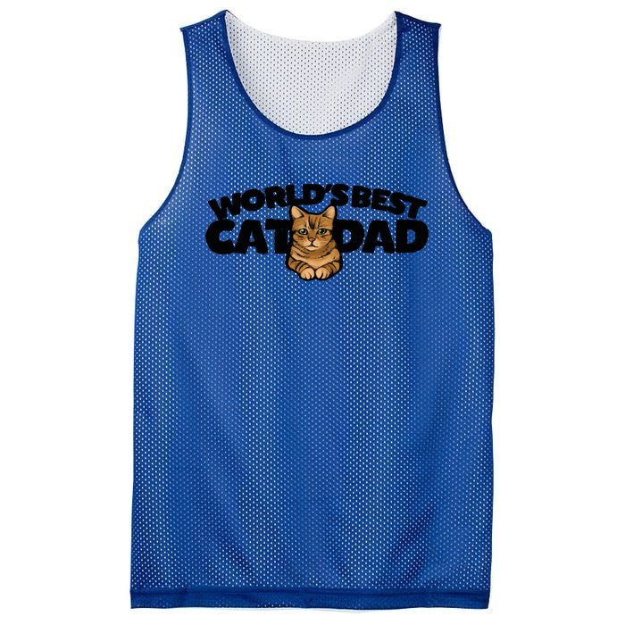 Cat Dad Funny Cat Person Humor Gift Mesh Reversible Basketball Jersey Tank