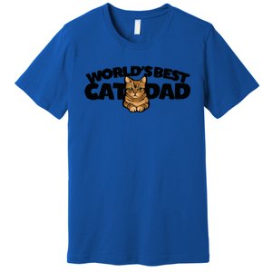 Cat Dad Funny Cat Person Humor Gift Premium T-Shirt