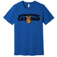 Cat Dad Funny Cat Person Humor Gift Premium T-Shirt