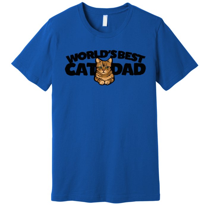 Cat Dad Funny Cat Person Humor Gift Premium T-Shirt