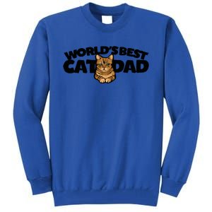 Cat Dad Funny Cat Person Humor Gift Tall Sweatshirt