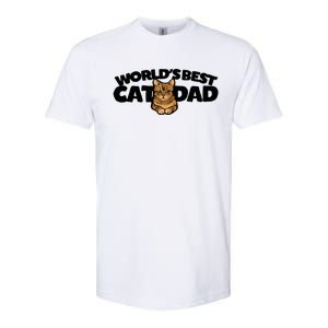 Cat Dad Funny Cat Person Humor Gift Softstyle CVC T-Shirt