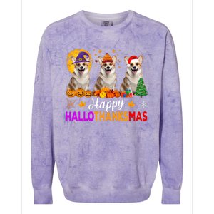 Corgi Dog Halloween Christmas Hallothanksmas Colorblast Crewneck Sweatshirt