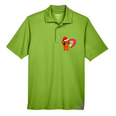 Christmas Dog I Believe In Santa Paws Gift Men's Origin Performance Pique Polo