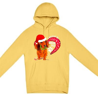 Christmas Dog I Believe In Santa Paws Gift Premium Pullover Hoodie