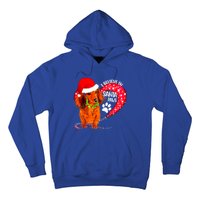 Christmas Dog I Believe In Santa Paws Gift Hoodie