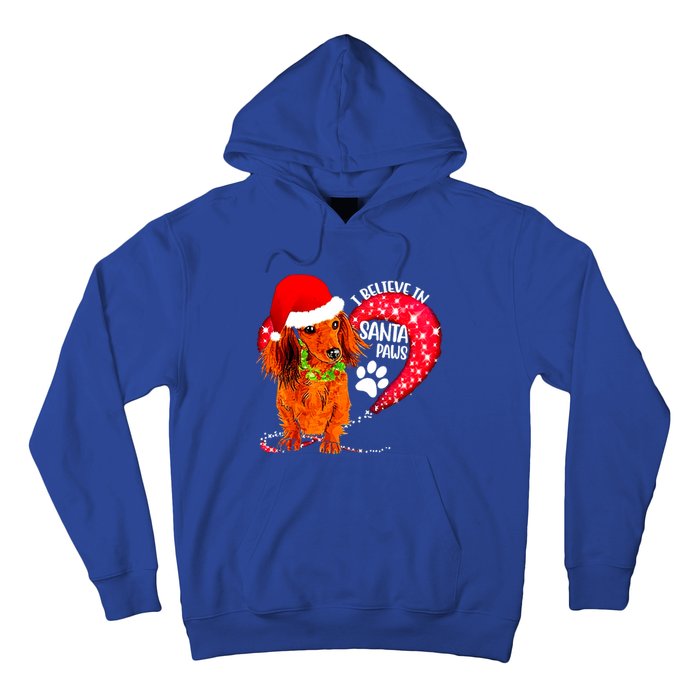 Christmas Dog I Believe In Santa Paws Gift Hoodie