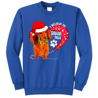 Christmas Dog I Believe In Santa Paws Gift Sweatshirt