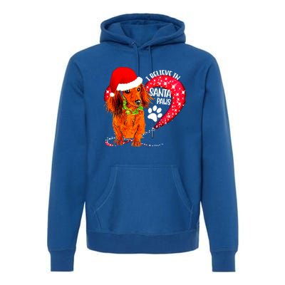 Christmas Dog I Believe In Santa Paws Gift Premium Hoodie