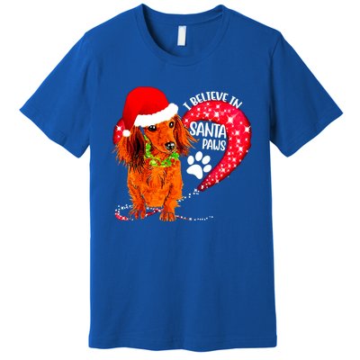 Christmas Dog I Believe In Santa Paws Gift Premium T-Shirt