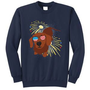 Cool Dog In USA Flag Glasses With Fireworks 4th July Day Sweatshirt