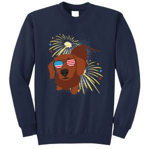 Cool Dog In USA Flag Glasses With Fireworks 4th July Day Tall Sweatshirt