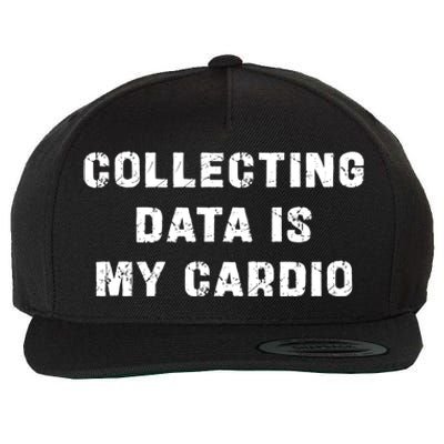 Collecting Data Is My Cardio Special Education Gift Wool Snapback Cap