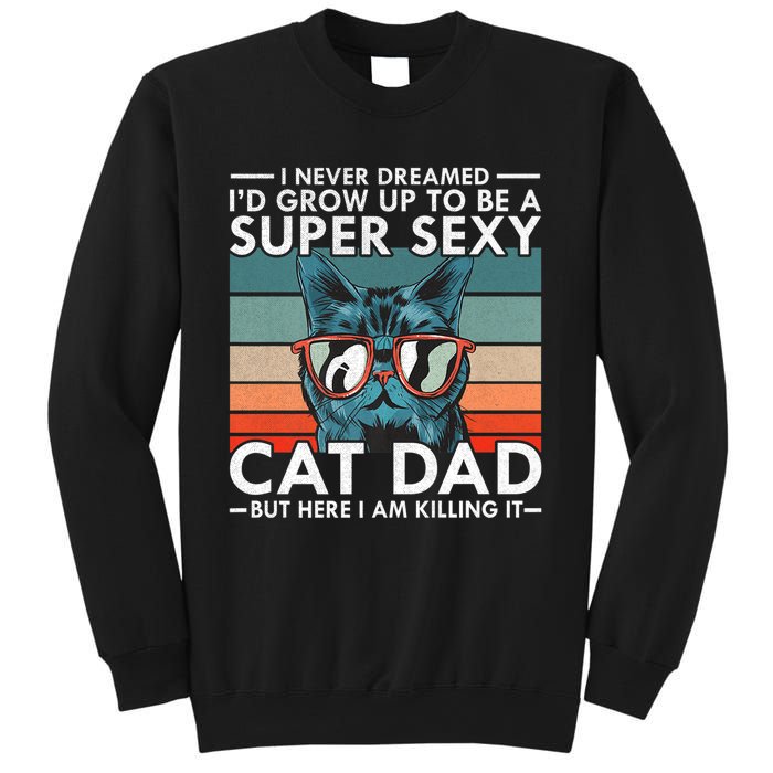 Cat Dad I Never Dreamed ID Grow Up O Be Super Sexy Cat Dad Sweatshirt