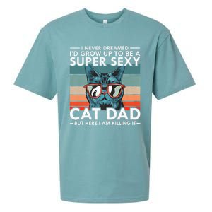 Cat Dad I Never Dreamed ID Grow Up O Be Super Sexy Cat Dad Sueded Cloud Jersey T-Shirt