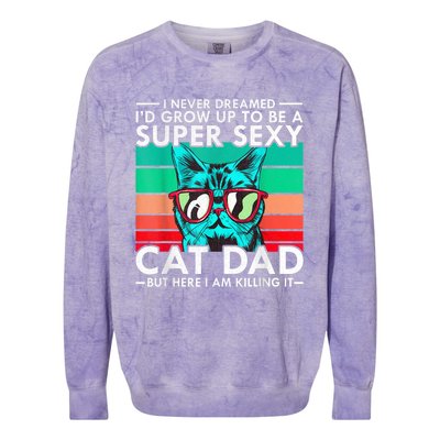 Cat Dad I Never Dreamed ID Grow Up O Be Super Sexy Cat Dad Colorblast Crewneck Sweatshirt