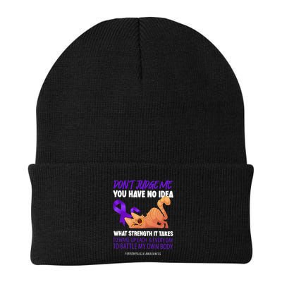Cat DonT Judge Me You Have No Idea Fibromyalgia Awareness Knit Cap Winter Beanie