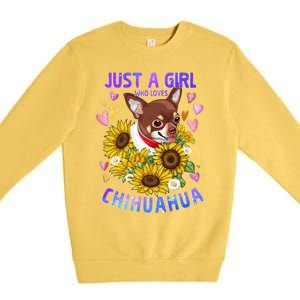 Chihuahua Dog Lover Funny Cute Puppy Cute Gift Premium Crewneck Sweatshirt