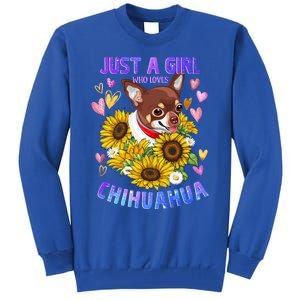 Chihuahua Dog Lover Funny Cute Puppy Cute Gift Tall Sweatshirt