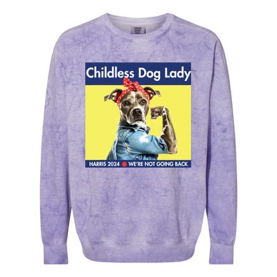 Childless Dog Lady Is Voting Kamala Election Usa 2024 Colorblast Crewneck Sweatshirt