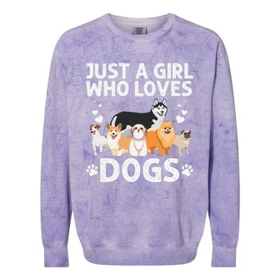 Cool Dog Lover For Women Groomer Handler Dog Lady Colorblast Crewneck Sweatshirt