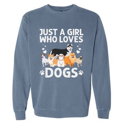 Cool Dog Lover For Women Groomer Handler Dog Lady Garment-Dyed Sweatshirt