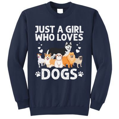 Cool Dog Lover For Women Groomer Handler Dog Lady Sweatshirt