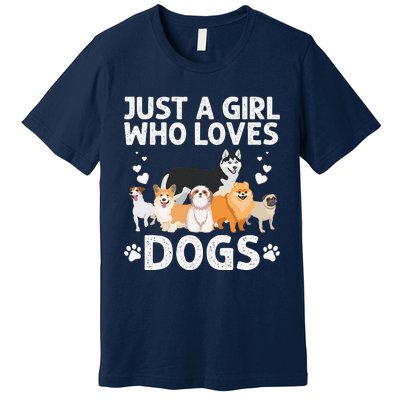 Cool Dog Lover For Women Groomer Handler Dog Lady Premium T-Shirt