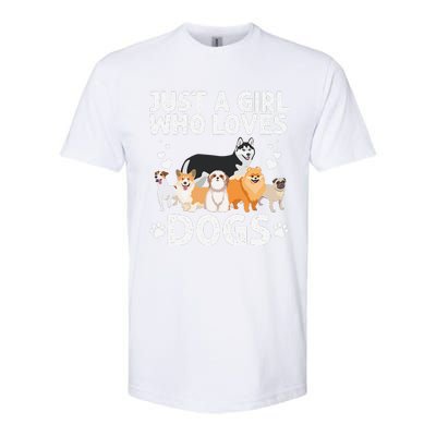 Cool Dog Lover For Women Groomer Handler Dog Lady Softstyle CVC T-Shirt