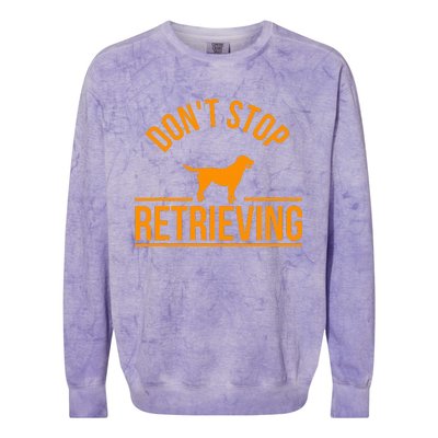 Cool Dog Lover Gift Club DonT Stop Retrieving Colorblast Crewneck Sweatshirt