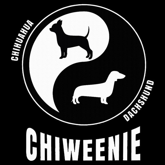 Chiweenie Dog Lovers Breeders Gift Pet Chiweenie 16 in Basic Backpack