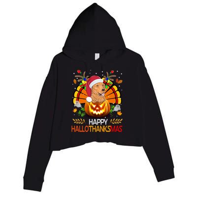 Cute Dog Lover Xmas Lights Turkey Santa Hat Hallothanksmas Gift Crop Fleece Hoodie