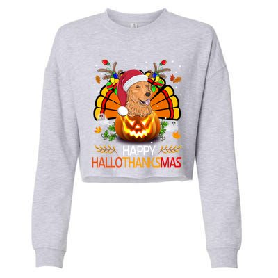 Cute Dog Lover Xmas Lights Turkey Santa Hat Hallothanksmas Gift Cropped Pullover Crew