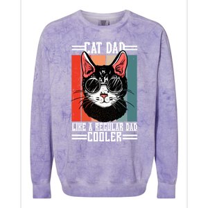 Cat Dad Like A Regular Dad Cooler Gift Colorblast Crewneck Sweatshirt