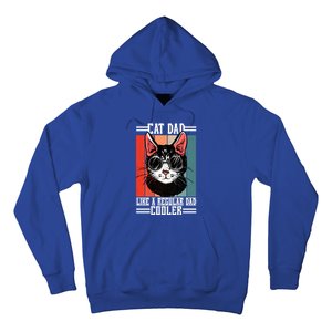 Cat Dad Like A Regular Dad Cooler Gift Hoodie