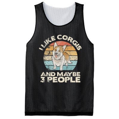 Corgi Dog Lover Funny Corgi Corgi Owner Cute Corgi Mesh Reversible Basketball Jersey Tank