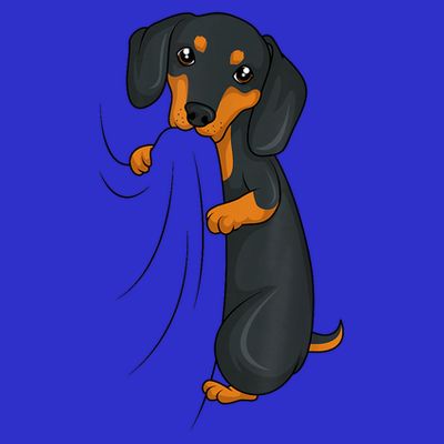 Cute Dachshund Lover Weiner Dog Girl Gift T-Shirt