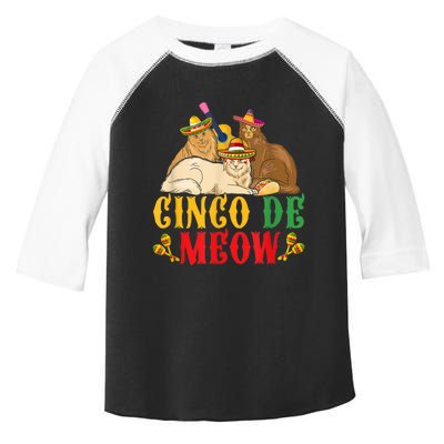 Cinco De Meow Funny Cinco De Mayo Women Cat Toddler Fine Jersey T-Shirt