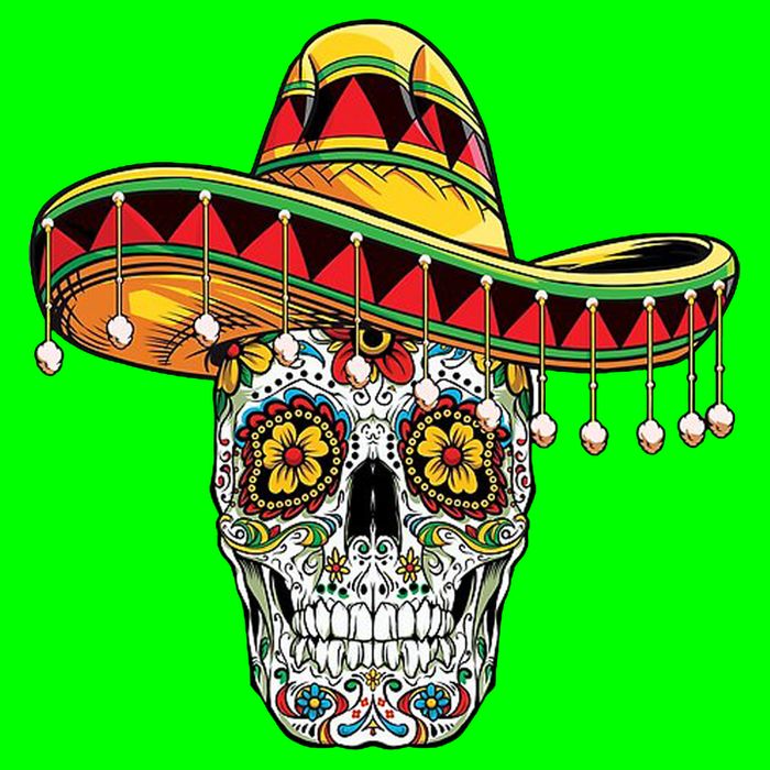 Cinco De Mayo Fiesta Skull Button