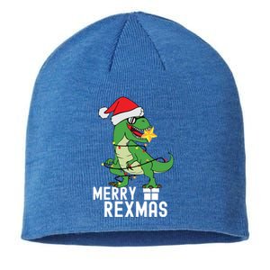 Christmas Dinosaur Merry Rexmas Tree Rex Christmas Gift Sustainable Beanie