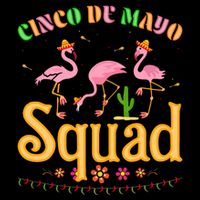 Cinco De Mayo Squad Flamingo Apron