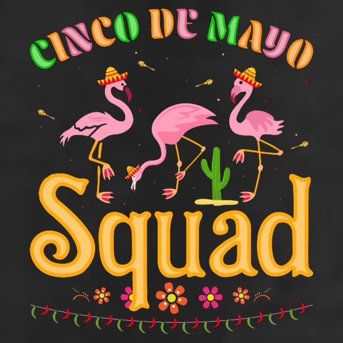 Cinco De Mayo Squad Flamingo Adult Drive Performance Visor
