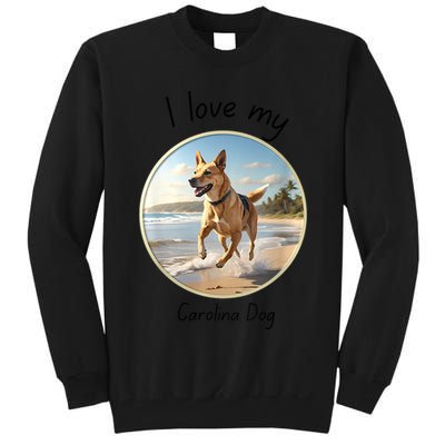 Carolina Dog Matter Dog Running On Beach Tall Sweatshirt
