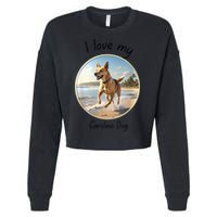 Carolina Dog Matter Dog Running On Beach Cropped Pullover Crew