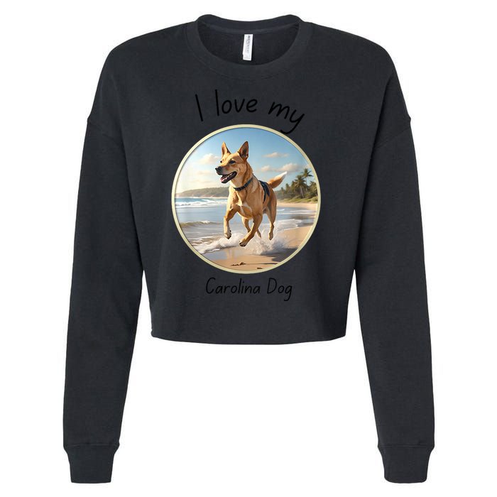 Carolina Dog Matter Dog Running On Beach Cropped Pullover Crew